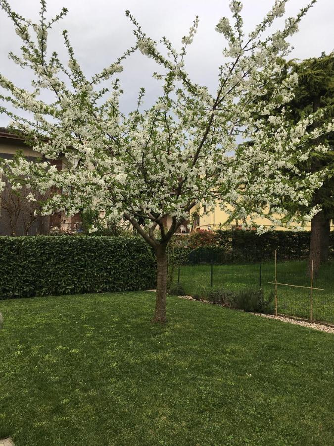 Appartamenti Francesco Peschiera del Garda Bagian luar foto